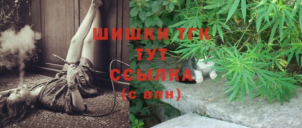 метадон Белокуриха