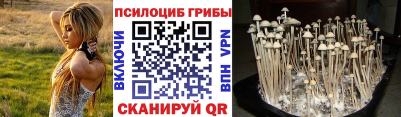 где найти наркотики  shop телеграм  Галлюциногенные грибы GOLDEN TEACHER  Химки 